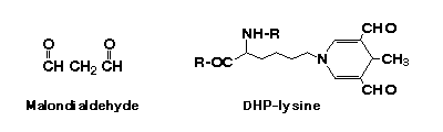 Anti Malondialdehyde (MDA) monoclonal antibody