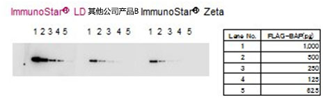 免疫印迹用化学发光试剂ImmunoStar® 系列