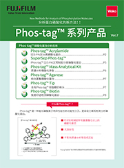SuperSep Phos-tag™ 预制胶                              SuperSep Phos-tag™