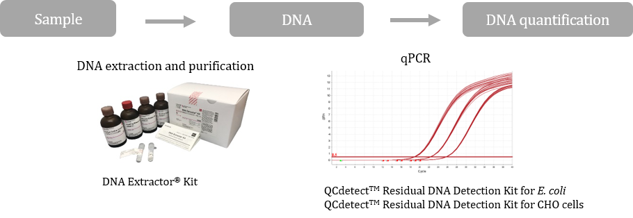 Test kits for residual DNA from host cells
