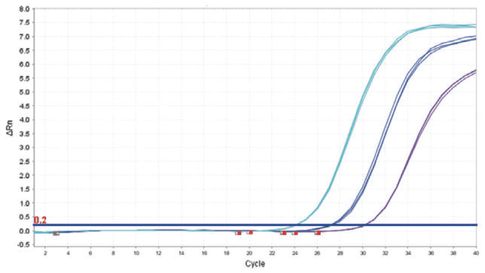 QCdetect™ 残留DNA检测试剂盒，大肠杆菌用 QCdetect™ Residual DNA Detection Kit for E. coli