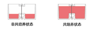 水平连接细胞共培养板 UniWells™ Horizontal Co-Culture Plate