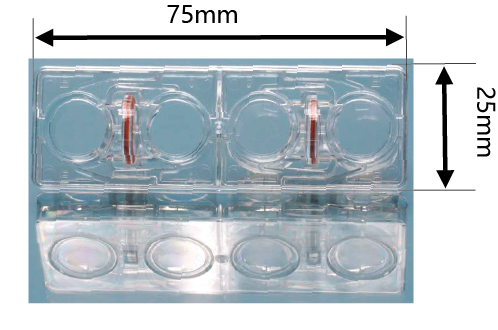 水平连接细胞共培养板 UniWells™ Horizontal Co-Culture Plate