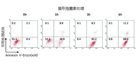GFP-CERTIFIED® 细胞凋亡/坏死检测试剂盒 GFP-CERTIFIED® Apoptosis/Necrosis detection kit