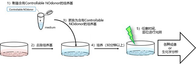 Controllable Nodonor,NO-Rosa5 在任意范围、时间通过可视光照射释放NO(Nitric oxide)的试剂