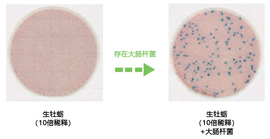 大肠杆菌•大肠菌群测试片（原Medi•Ca EC）                              Easy Plate EC