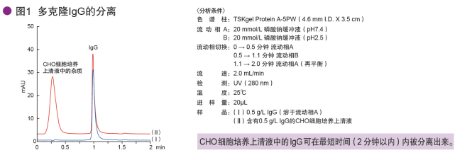 TSKgel Protein A-5PW亲和色谱柱