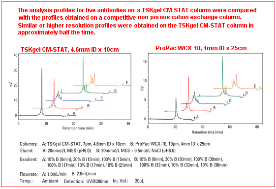 TSKgel CM-STAT阳离子交换色谱柱
