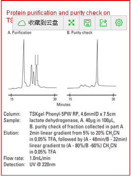 TSKgel Phenyl-5PW RP聚合物基质反相色谱柱