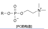 PC HILIC色谱柱